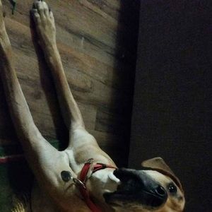 Meet your Posher, Marsha